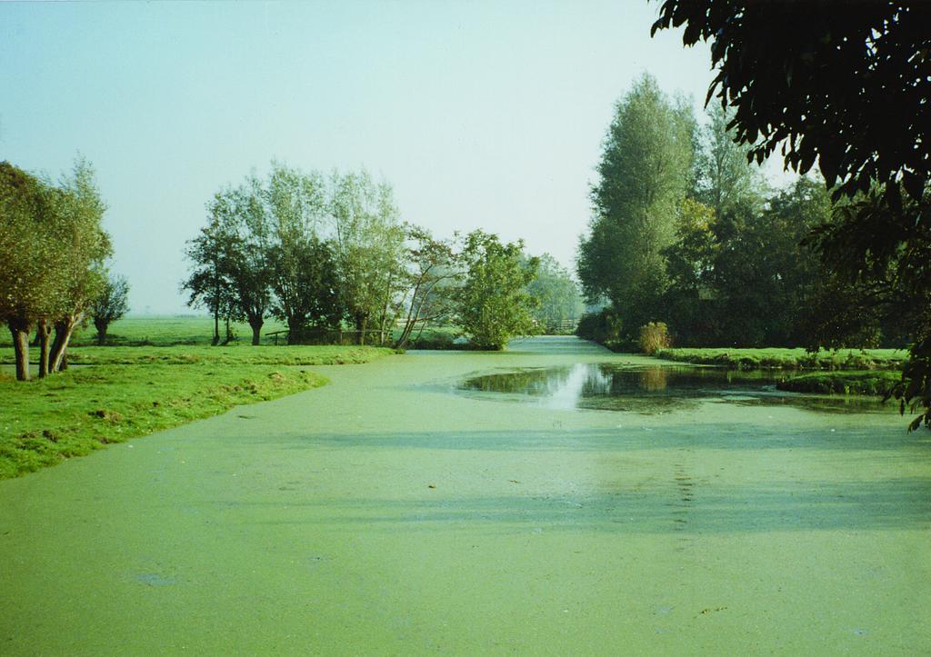 De Boomgaard Groene Hart Polsbroekerdam Exterior foto