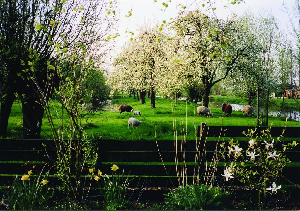 De Boomgaard Groene Hart Polsbroekerdam Exterior foto